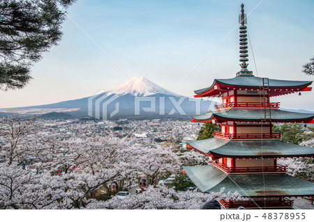 富士と桜と五重の塔 富士と桜と五重の塔 48378955