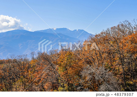 【山梨県甲斐市】紅葉の敷島梅の里 【山梨県甲斐市】紅葉の敷島梅の里 48379307