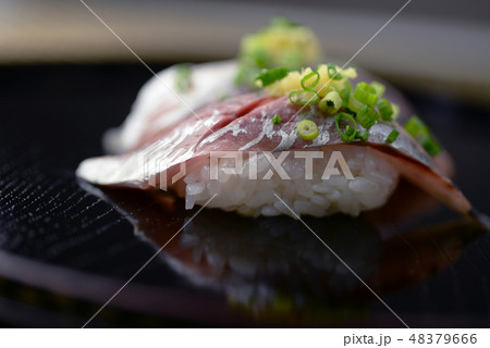 アジの握り　アジ　鯵　寿司　鮨　すし　和食　光物　ネギ　アレルギー食品　日本食　海鮮 48379666