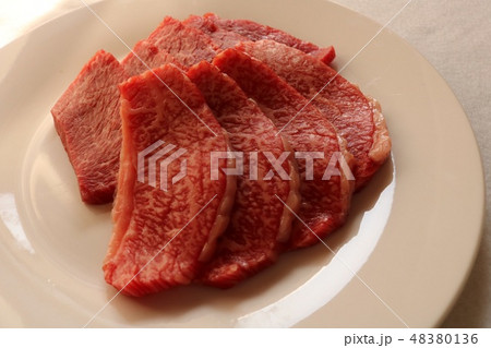 肉高級焼肉豚ロース 肉高級焼肉豚ロース 48380136