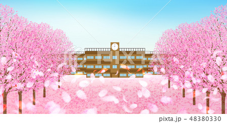 桜　春　花　背景 48380330
