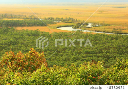 細岡展望台から見た釧路湿原 48380921