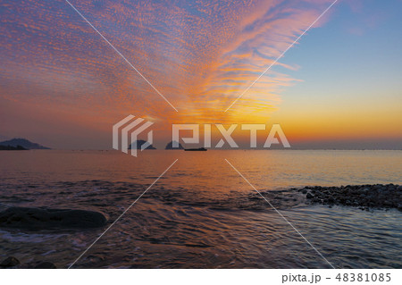 竹島 ヒョルド 無スルモク 48381085