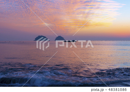 竹島 ヒョルド 無スルモク 48381086