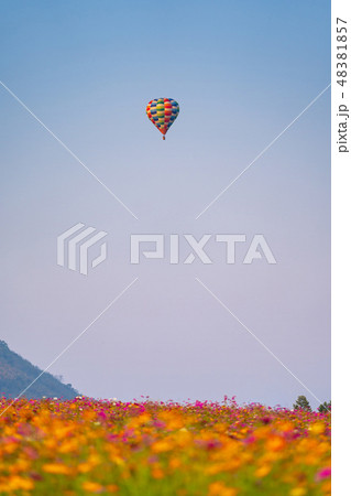 Balloon on blue sky over beautiful flower garden 48381857