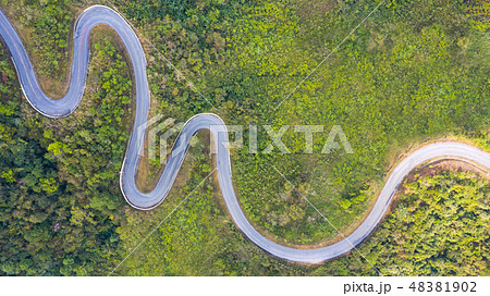 Aerial top view of a road in the forest 48381902