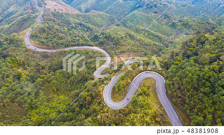Aerial top view of a road in the forest 48381908