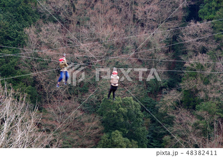 ジップラインを楽しむ人々 48382411