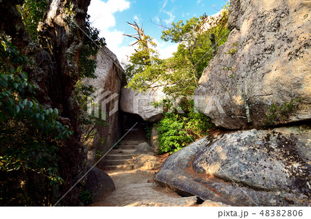 宮島　弥山 48382806