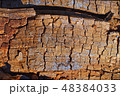 loose wood structure 48384033