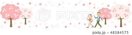 春桜シニア夫婦コピースペース横並び 48384575