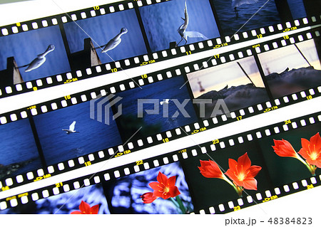 リバーサルフィルムの写真(ポジフィルム) リバーサルフィルムの写真(ポジフィルム) 48384823
