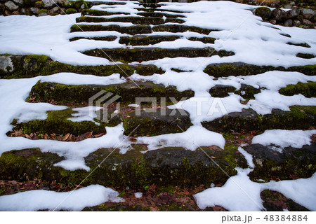 雪が残る苔生す石段 a 雪が残る苔生す石段 a 48384884