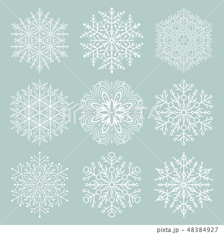 Set of Vector Snowflakes 48384927