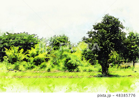 Abstract Rice fields and tree watercolor paint. 48385776