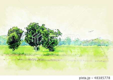 Abstract Rice fields and tree watercolor paint. 48385778
