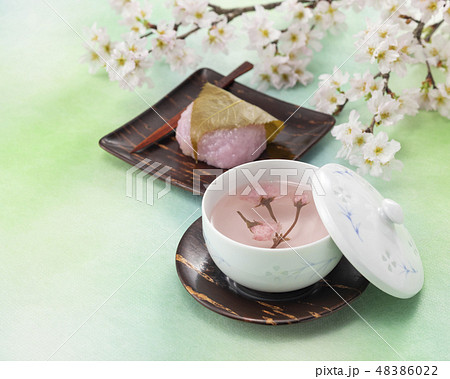 桜茶　桜　桜餅 48386022