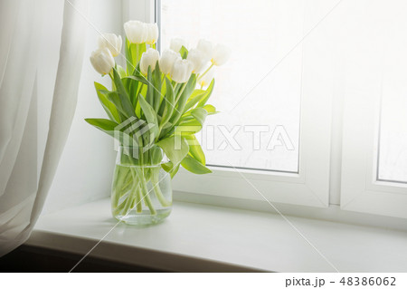 Bouquet of white tulip on windowsill. Copy space. 48386062