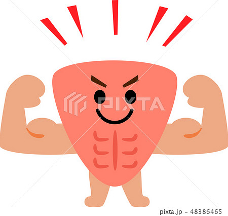 筋肉のキャラクター 筋肉のキャラクター 48386465