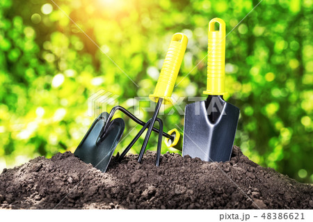 Garden tools rake shovel and chopper on pile of earth under bright sun 48386621