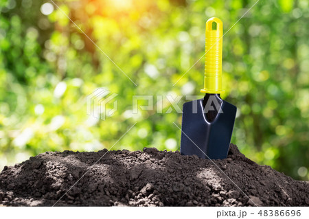 Garden shovel in ground against background of green foliage Garden shovel in ground against background of green foliage 48386696