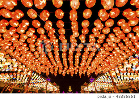 Lantern Festival at Fo Guang Shan Buddha Museum Lantern Festival at Fo Guang Shan Buddha Museum 48386861