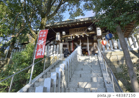 星田妙見宮 交野 大阪 星田妙見宮 交野 大阪 48387150