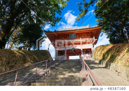 道成寺 山門 道成寺 山門 48387160