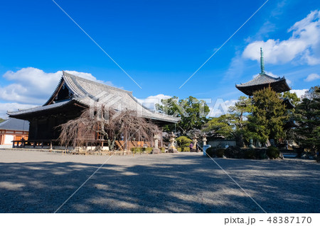 道成寺 境内 道成寺 境内 48387170