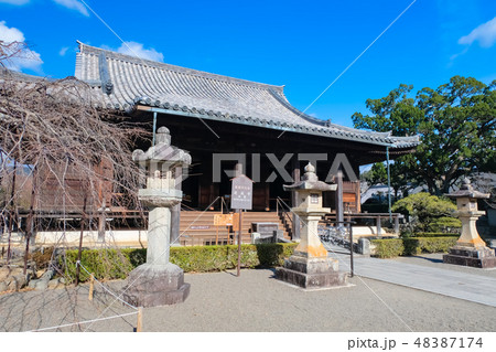 道成寺 本堂 48387174