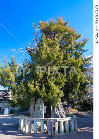 道成寺 安珍塚 48387185