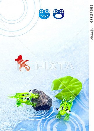 サマーカード 48387691