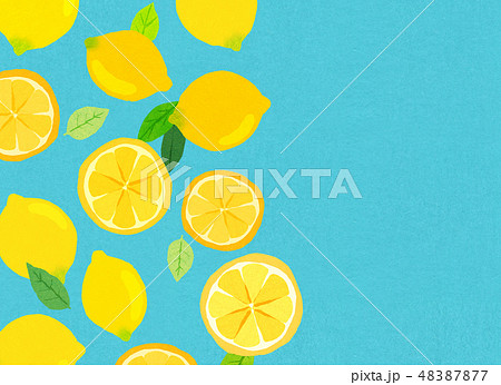 フェルト 柑橘類 レモン コラージュ フェルト 柑橘類 レモン コラージュ 48387877