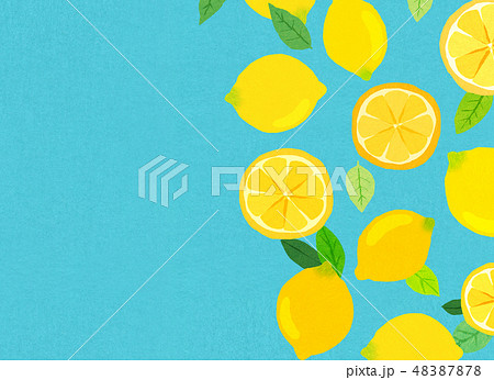 フェルト　柑橘類　レモン　コラージュ 48387878