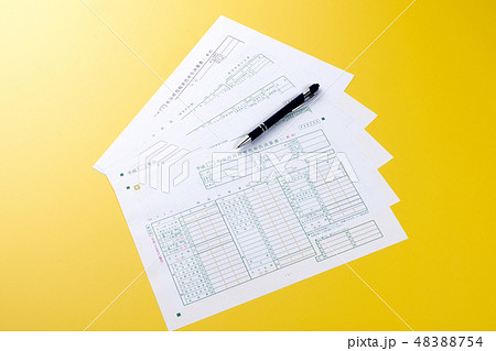 青色申告決算書 48388754
