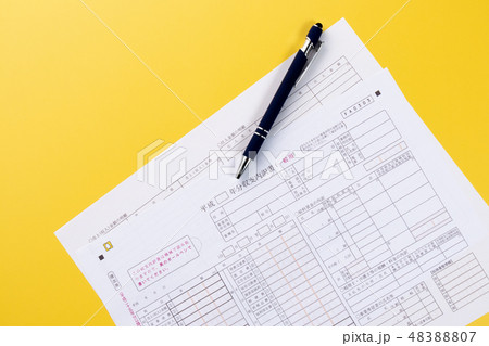 収支内訳書　一般用 48388807