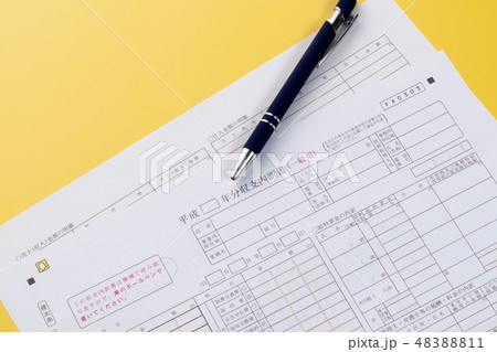 収支内訳書　一般用 48388811
