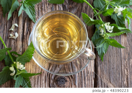 A cup of white dead-nettle tea and fresh plant 48390223