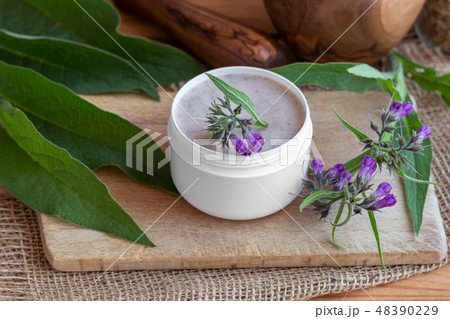 A jar of homemade comfrey root ointment 48390229