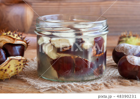 Preparation of tincture from horse chestnuts Preparation of tincture from horse chestnuts 48390231