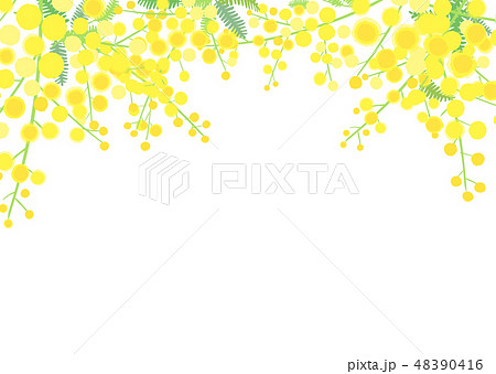 ミモザの背景 48390416