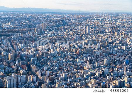 《東京都》東京住宅街 《東京都》東京住宅街 48391005
