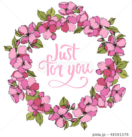Vector Pink Apple blossom floral botanical flower. Engraved ink art. Frame border ornament square on Vector Pink Apple blossom floral botanical flower. Engraved ink art. Frame border ornament square on 48391376