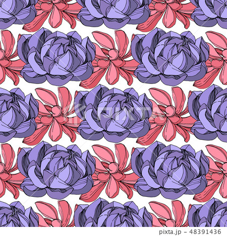 Vector Jungle botanical succulent flower. Engraved ink art illustration. Seamless background pattern 48391436