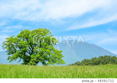 さわやかな高原風景 さわやかな高原風景 48391712
