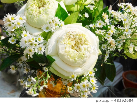 Bouquet of White Lotus Flowers with Daisies Bouquet of White Lotus Flowers with Daisies 48392684