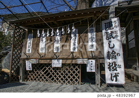 川越熊野神社　運試し輪投げ 48392967