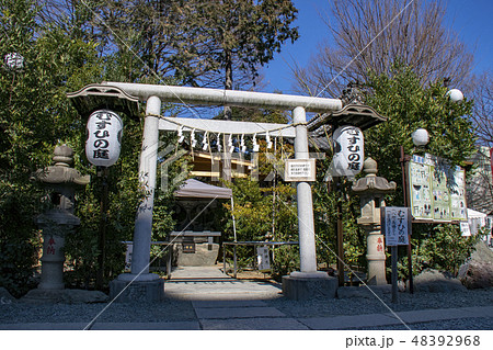 川越熊野神社　むすひの庭 48392968