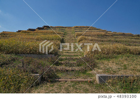 【土塔】 大阪府堺市中区土塔町2143 【土塔】 大阪府堺市中区土塔町2143 48393100