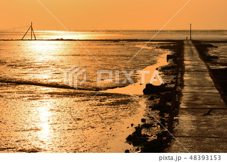 沖へ続く道 沖へ続く道 48393153